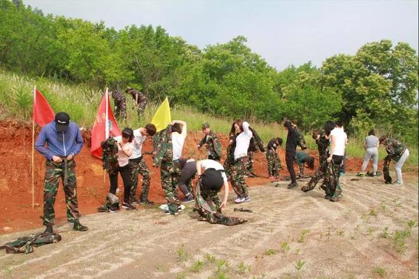 乾港集團,乾港官網(wǎng),乾港網(wǎng)絡,室內空氣凈化公司