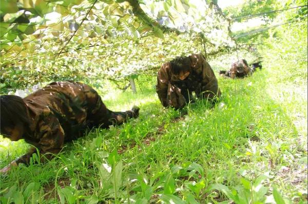 乾港集團,乾港官網(wǎng),乾港網(wǎng)絡,室內空氣凈化公司